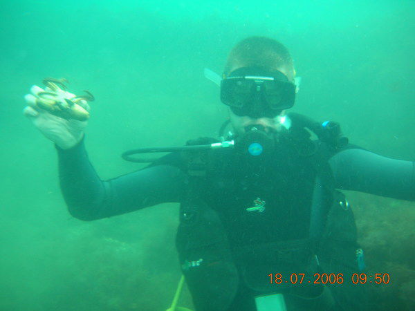 Владимир Ильин