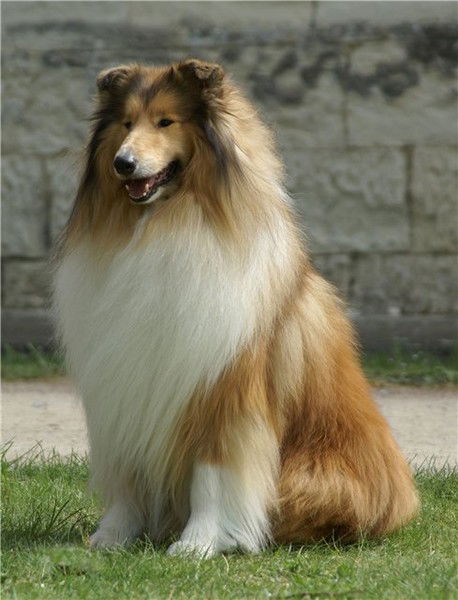 Оксана Голубенко