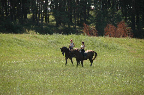Наташа Знак
