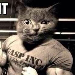 Михаил Смирнов