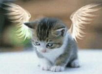 Иринк@ Юсупова