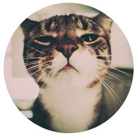 Настя Лопатина