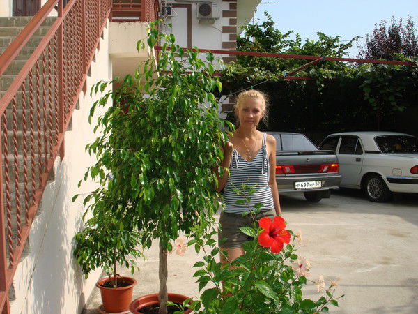 Елена Симохина