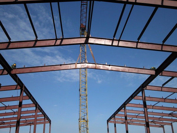 Дмитрий Шинкевич