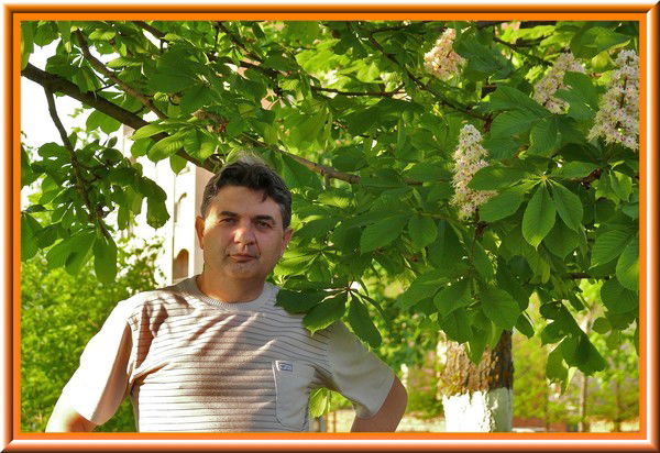 Александр Патока