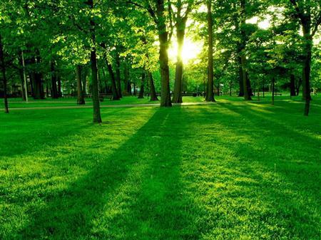 Гульнар Бекбергенова