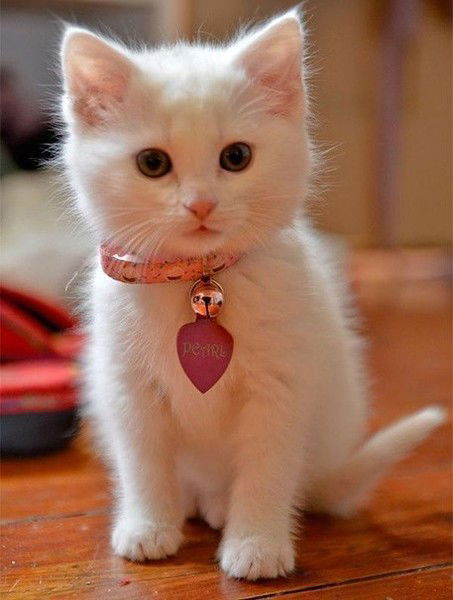 Алмагул Ахметкалиева