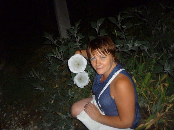 Лена Белова