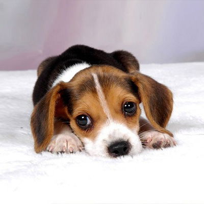 Юлия Абашина