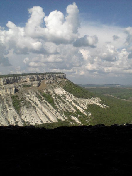 Инга Колодко