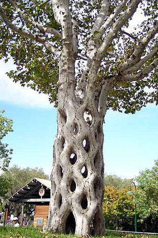 Бахром Баходур