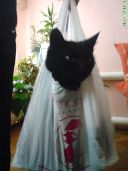 Виталий Минеев