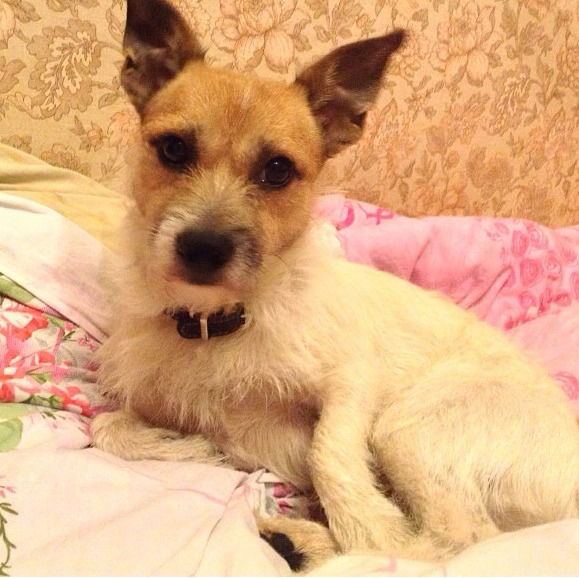 Алёна Бушмаринова