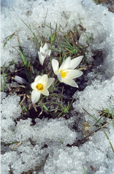 Татьяна Деречинникова