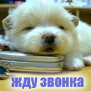 Наталья Любченко