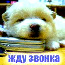 Наталья Любченко