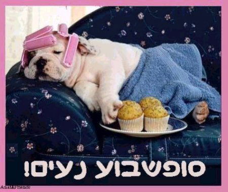 Prishelets Prishelets