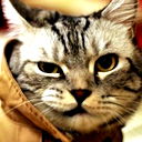 Nikolay ...