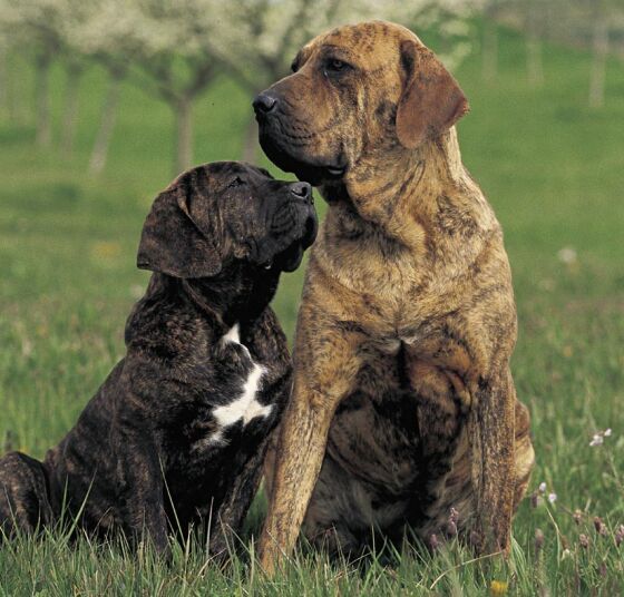 Кошкина Оксана