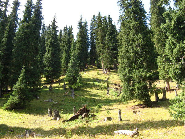 Макс Крючков