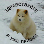 Андрей Николаевич