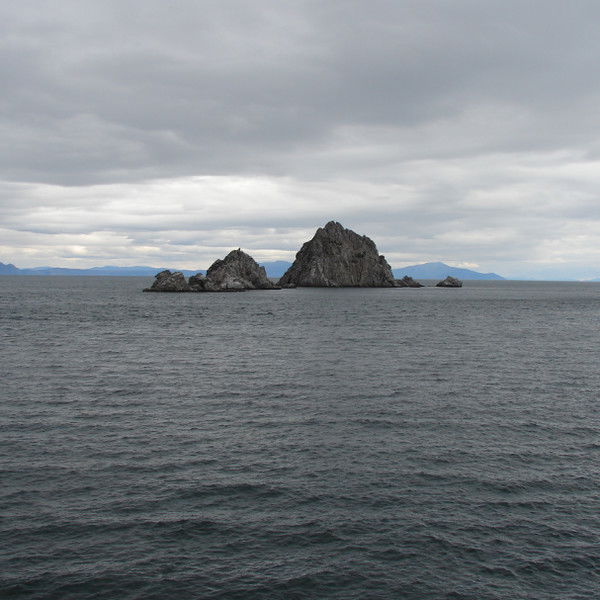 Максим Крюков