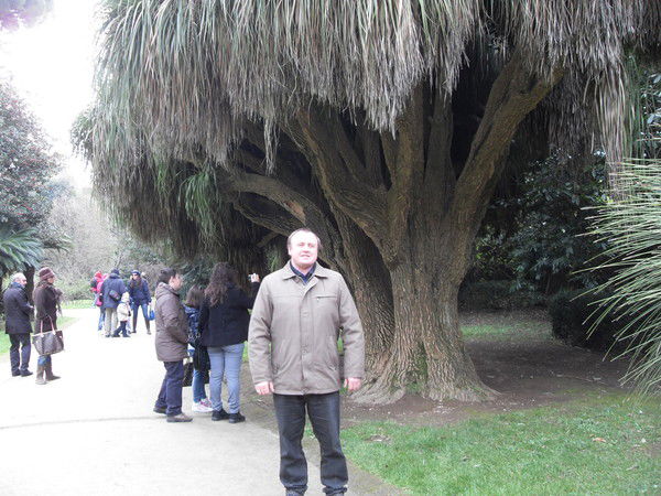 Валера Кулык