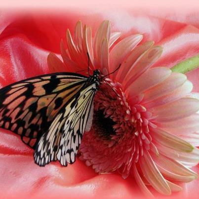 Валентина Филипенко