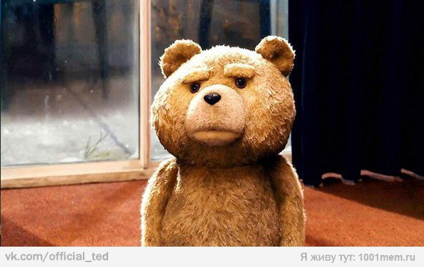 Настюшка Шульгина