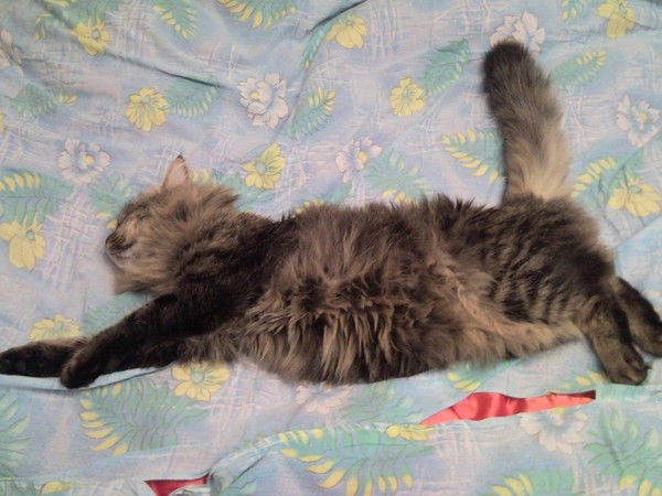 Ирина Опалева