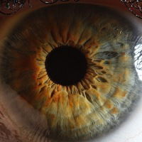 Юрий Суходолов