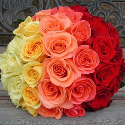 Оксана Худякова