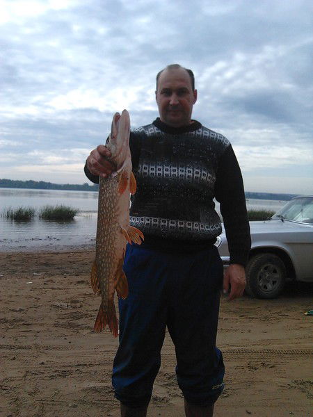 Андрей Кильдюшев