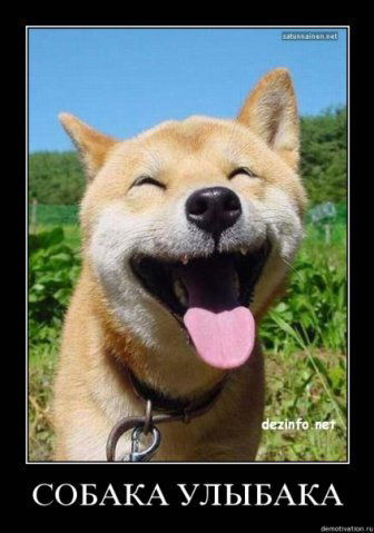 Ирина Чеботарёва