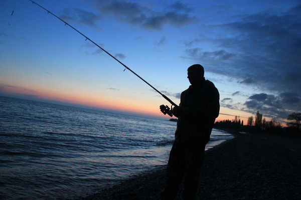 Алексей Хвостенко