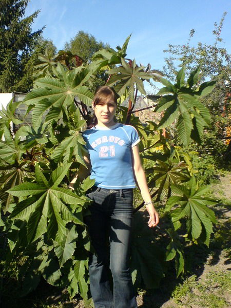 Наталья Толмачёва