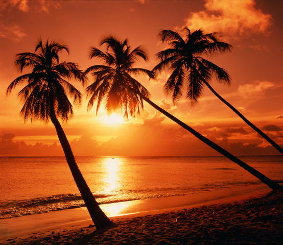 Николай *************