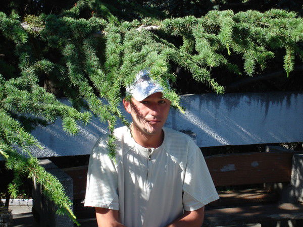 Александр Головлев