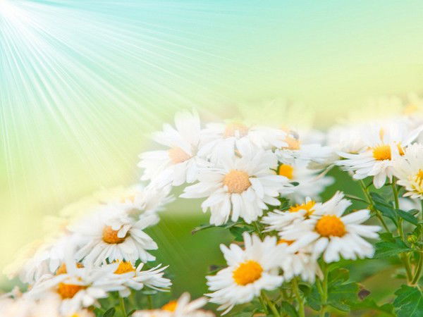 Татьяна Дегтярева