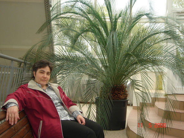 Наталья Никитина