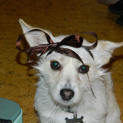 Вова Дедков