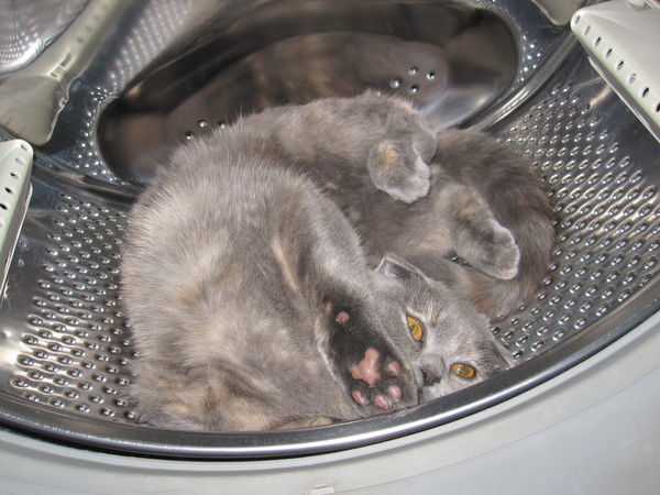 Людмила Крылова