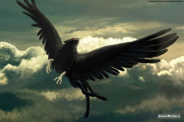 Ден Шарипов