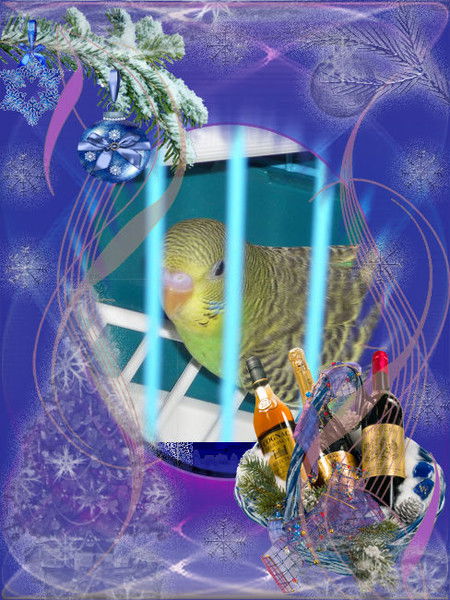 Наталья Попова