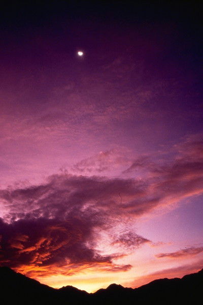 Наталья Ильина