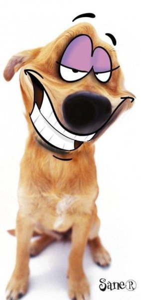 Ирина Самойленко