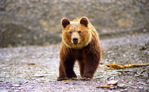 Александр Иванов