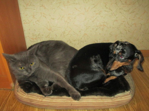 Валерий Носков