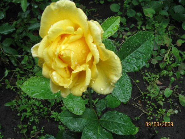 Дилара Аксаитова