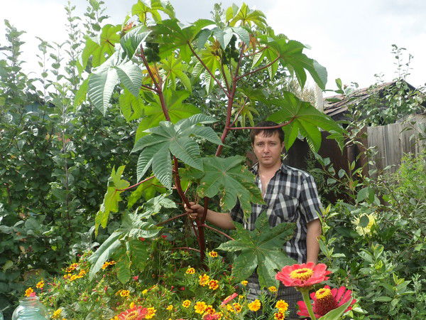 Андрей Степанов